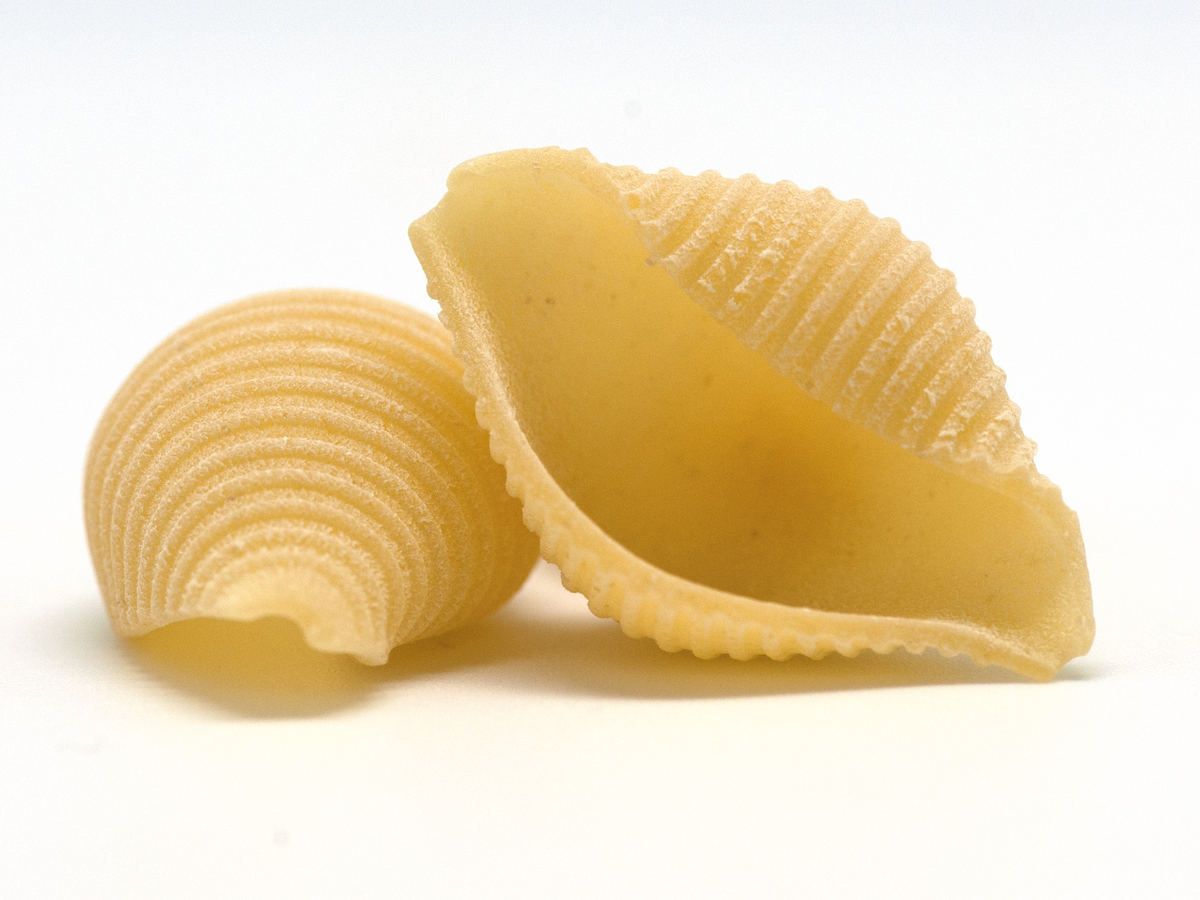 Conchiglie (Shells) pasta